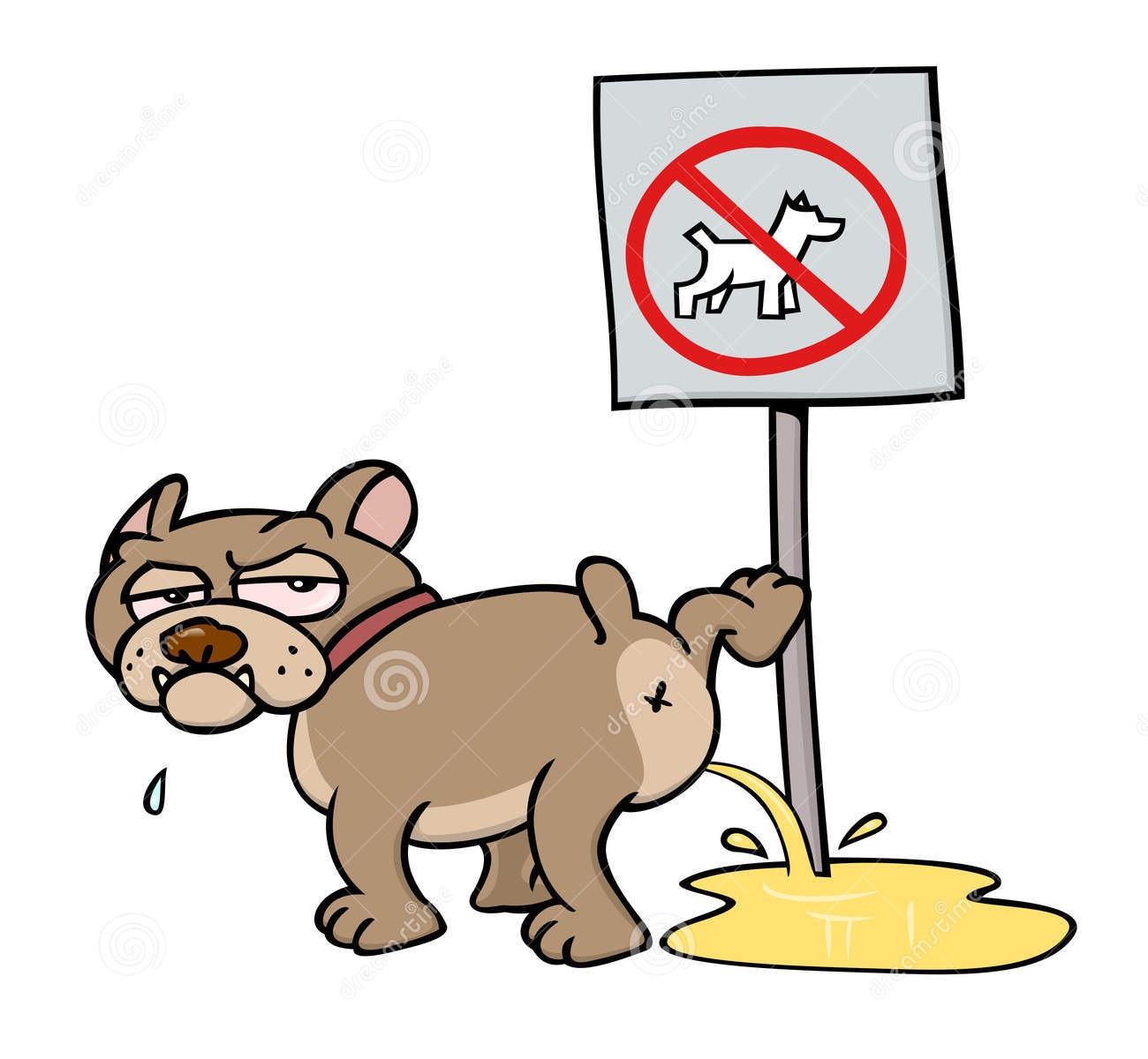 dog-peeing-no-dogs-sign-25183833