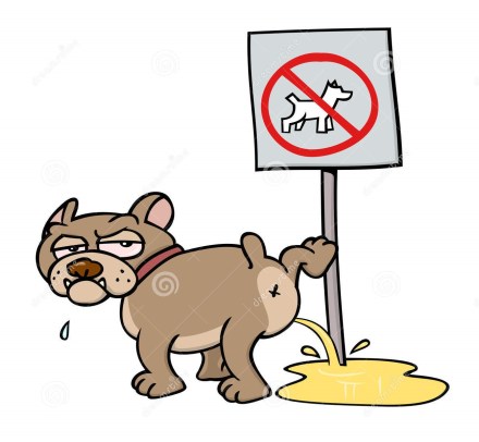 dog-peeing-no-dogs-sign-25183833